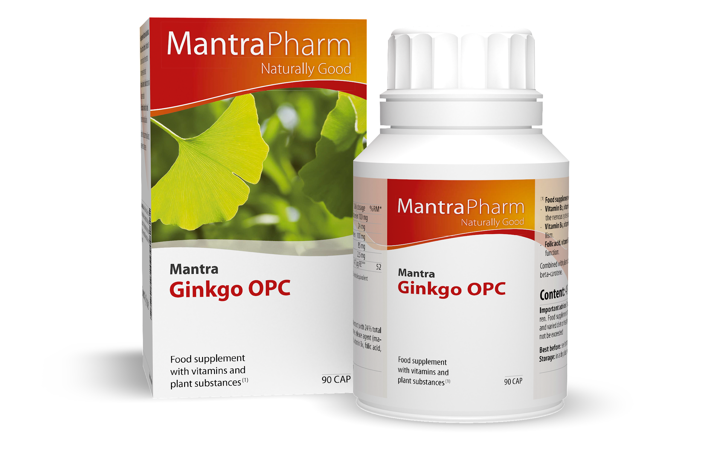 Mantra Ginkgo OPC |  Energy-yielding metabolism | Germany